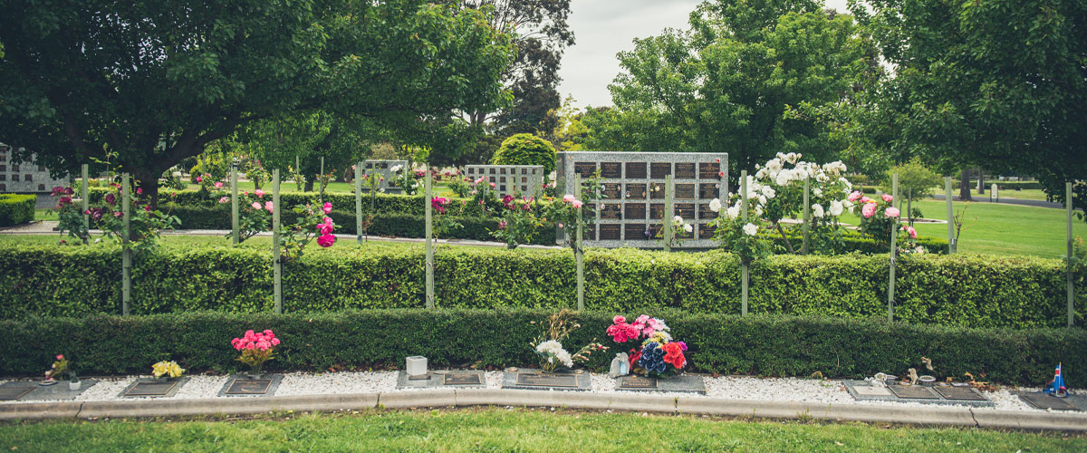 Trimmed hedges, trees, colour roses and burial plaques in forground, wall niche in background