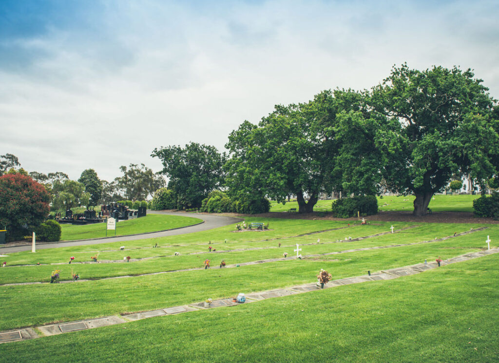 Large oak trees and lawn graves at cemetery